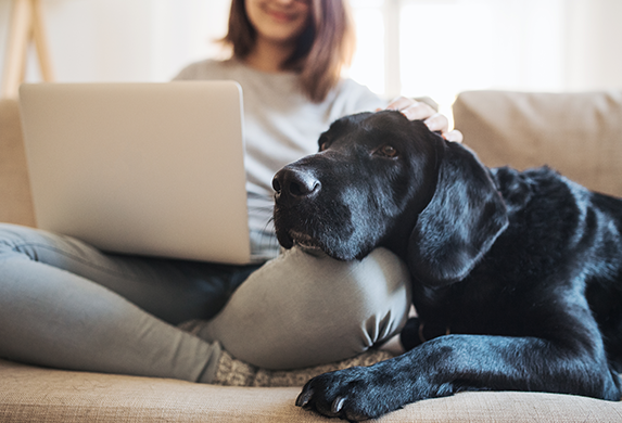 Eine Frau sitzt auf dem Sofa und hat ihren Laptop auf dem Schoss. Der schwarze Hund liegt neben ihr auf dem Sofa und legt seinen Kopf auf das Knie der Frau ab.