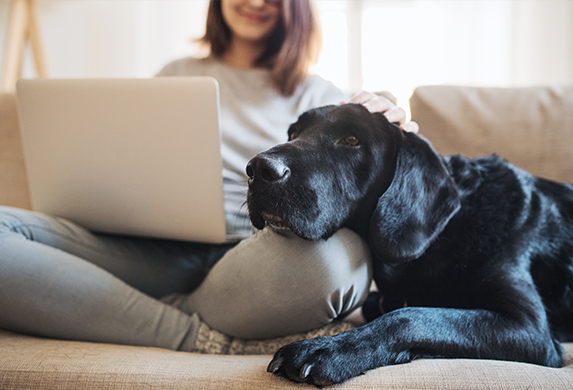 Eine Frau sitzt auf dem Sofa und hat ihren Laptop auf dem Schoss. Ihr schwarzer Hund liegt neben ihr und legt seinen Kopf auf ihrem Knie ab.